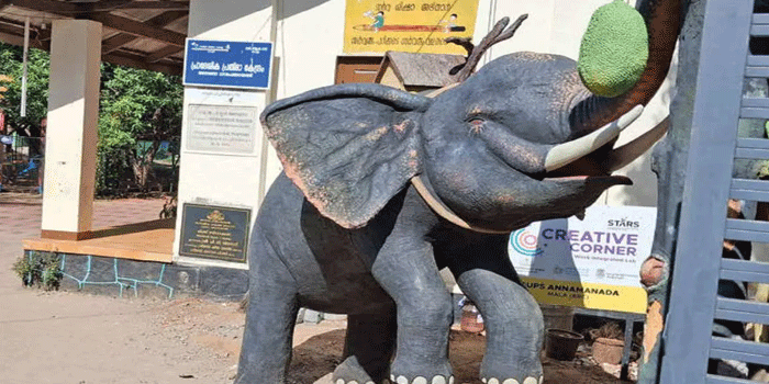 മൂന്നു ബൂത്തുകളുള്ള സ്കൂൾ മുറ്റത്ത് തലയുയർത്തി നില്ക്കുന്നു ചക്ക പറിക്കാൻ നിൽക്കുന്ന ആന! ഈ ചിഹ്നങ്ങളെ  വോട്ടർമാരുടെ കാഴ്ചപരിധിയിൽ നിന്നു മാറ്റാനുള്ള പരക്കം പാച്ചിലിൽ പോളിങ് ഓഫീസർമാർ