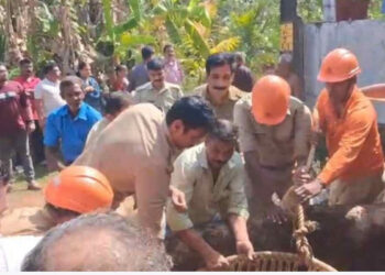 മകളുടെ കല്യാണം ക്ഷണിക്കാന്‍ അയല്‍വീട്ടിലെത്തിയയാളെ പട്ടി ഓടിച്ചു, പിന്നാലെ കാല്‍ വഴുതി കിണറ്റില്‍ വീണു, മധ്യവയസ്കന് പരിക്ക്