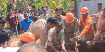 മകളുടെ കല്യാണം ക്ഷണിക്കാന്‍ അയല്‍വീട്ടിലെത്തിയയാളെ പട്ടി ഓടിച്ചു, പിന്നാലെ കാല്‍ വഴുതി കിണറ്റില്‍ വീണു, മധ്യവയസ്കന് പരിക്ക്