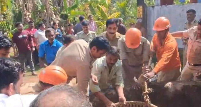 മകളുടെ കല്യാണം ക്ഷണിക്കാന്‍ അയല്‍വീട്ടിലെത്തിയയാളെ പട്ടി ഓടിച്ചു, പിന്നാലെ കാല്‍ വഴുതി കിണറ്റില്‍ വീണു, മധ്യവയസ്കന് പരിക്ക്
