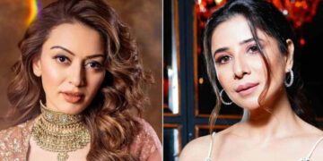 കടം നൽകിയ 27 ലക്ഷം രൂപ തിരികെ തരാതിരിക്കാന്‍ വ്യാജ ആരോപണമുന്നയിക്കുന്നു, അത് മാനസികമായി തളര്‍ത്തി, സത്യം വിജയിക്കും, മാനനഷ്ടമായി രണ്ട് കോടി രൂപ വേണം, മുൻ ഭർത്താവിന്റെ സ​ഹോദരിക്കെതിരെ കേസ് കൊടുത്ത് നടി ഹൻസിക മോട്ട്‌വാനി