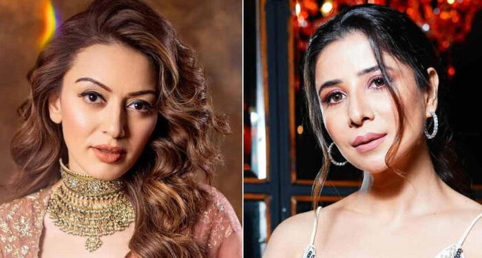 കടം നൽകിയ 27 ലക്ഷം രൂപ തിരികെ തരാതിരിക്കാന്‍ വ്യാജ ആരോപണമുന്നയിക്കുന്നു, അത് മാനസികമായി തളര്‍ത്തി, സത്യം വിജയിക്കും, മാനനഷ്ടമായി രണ്ട് കോടി രൂപ വേണം, മുൻ ഭർത്താവിന്റെ സ​ഹോദരിക്കെതിരെ കേസ് കൊടുത്ത് നടി ഹൻസിക മോട്ട്‌വാനി