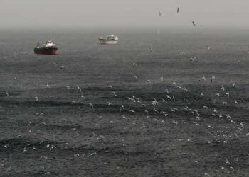 ‘ഞങ്ങൾ ഇവിടെ കുടുങ്ങിയിരിക്കുകയാണ്, ജീവിക്കാൻ സഹായിക്കണം… നിലവിളികളുമായി നാവികർ’!! 2,000 കപ്പലുകളിലായി ഹോർമുസ് കടലിടുക്കിൽ കുടുങ്ങി കിടക്കുന്നത് 20,000 നാവികർ, ഭക്ഷണവും വെള്ളവും തീരുന്നു…