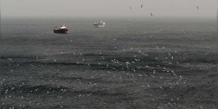 ‘കുറഞ്ഞ തുകയ്ക്ക് “പട്ടിപ്പണി”… സുരക്ഷാ ആശങ്ക പങ്കുവച്ചിട്ടും പുറത്തിറങ്ങാൻ അനുവദമില്ല,  ഞങ്ങൾ ഇവിടെ കുടുങ്ങിയിരിക്കുകയാണ്, ജീവിക്കാൻ സഹായിക്കണം… നിലവിളികളുമായി നാവികർ’!! 2,000 കപ്പലുകളിലായി ഹോർമുസ് കടലിടുക്കിൽ കുടുങ്ങി കിടക്കുന്നത് 20,000 നാവികർ, ഭക്ഷണവും വെള്ളവും തീരുന്നു… ഐടിഎഫ് നെറ്റ്‌വർക്ക് കോർഡിനേറ്റർ
