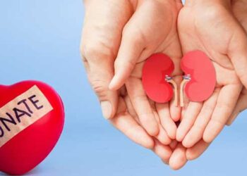 ജീവൻ മരണ പോരാട്ടത്തിൽ വൃക്ക നൽകുന്നതിനും സ്വീകരിക്കുന്നതിനും വില്ലനാക്കിയത് മതത്തെ!! ദാതാവും സ്വീകർത്താവും ക്രിസ്ത്യനും മുസ്ലിമും, അവർ തമ്മിൽ സ്നേഹ ബന്ധം ഉണ്ടാകില്ല!! അവയവദാനത്തിനുള്ള സംയുക്ത അപേക്ഷ തളളി ജില്ലാ ഓതറൈസേഷൻ സമിതി, റിപ്പോർട്ടിൽ മതപരമായ പരാമർശം ഉൾപ്പെടുത്തിയത് സമൂഹത്തിൽ ആശങ്ക ഉയർത്തുന്നു, അപ്പീൽ നൽകും- അപേക്ഷകർ