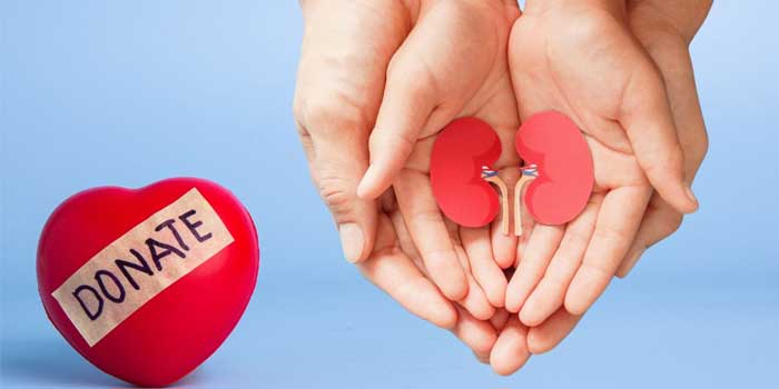 ജീവൻ മരണ പോരാട്ടത്തിൽ വൃക്ക നൽകുന്നതിനും സ്വീകരിക്കുന്നതിനും വില്ലനാക്കിയത് മതത്തെ!! ദാതാവും സ്വീകർത്താവും ക്രിസ്ത്യനും മുസ്ലിമും, അവർ തമ്മിൽ സ്നേഹ ബന്ധം ഉണ്ടാകില്ല!! അവയവദാനത്തിനുള്ള സംയുക്ത അപേക്ഷ തളളി ജില്ലാ ഓതറൈസേഷൻ സമിതി, റിപ്പോർട്ടിൽ മതപരമായ പരാമർശം ഉൾപ്പെടുത്തിയത് സമൂഹത്തിൽ ആശങ്ക ഉയർത്തുന്നു, അപ്പീൽ നൽകും- അപേക്ഷകർ