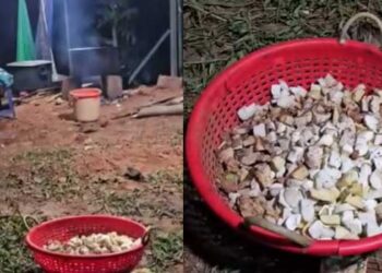 ഇവിടെ വച്ച് പാചകം ചെയ്യാൻ പാടില്ല- അയൽവാസി!! പിന്നാലെ കിണറിനു സമീപമൊരുക്കിയിരുന്ന വിവാഹ സദ്യയിൽ മണ്ണ് വാരിയിട്ട് യുവതിയുടെ പ്രതികാരം, നട്ടപ്പാതിരായ്ക്ക് പോലീസിന്റെ സാന്നിദ്ധ്യത്തിൽ ആഞ്ഞു പിടിച്ച് നാട്ടുകാർ, പുലർച്ചെയായപ്പോൾ സദ്യ റെഡി, കെട്ടും കെങ്കേമമാക്കി