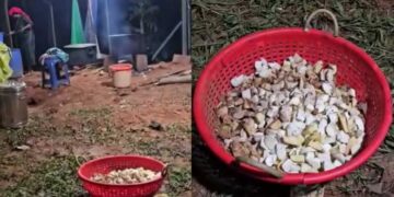 ഇവിടെ വച്ച് പാചകം ചെയ്യാൻ പാടില്ല- അയൽവാസി!! പിന്നാലെ കിണറിനു സമീപമൊരുക്കിയിരുന്ന വിവാഹ സദ്യയിൽ മണ്ണ് വാരിയിട്ട് യുവതിയുടെ പ്രതികാരം, നട്ടപ്പാതിരായ്ക്ക് പോലീസിന്റെ സാന്നിദ്ധ്യത്തിൽ ആഞ്ഞു പിടിച്ച് നാട്ടുകാർ, പുലർച്ചെയായപ്പോൾ സദ്യ റെഡി, കെട്ടും കെങ്കേമമാക്കി