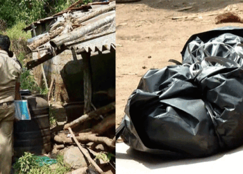 നെടുങ്കണ്ടത്ത് വീട്ടുപറമ്പിൽ നിന്നും മൃതദേഹങ്ങൾ കണ്ടെത്തിയ സംഭവം; പോസ്റ്റ്മോർട്ടം ഇന്ന്; പ്രതിയ്ക്കായി അന്വേഷണം ഊർജ്ജിതമാക്കി പോലീസ്; മേരിക്കുട്ടിയുടെ ഭർത്താവിൻ്റെ തിരോധാനം വീണ്ടും അന്വേഷിക്കാനും തീരുമാനം