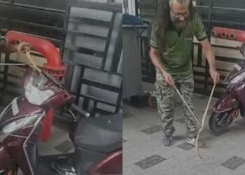 ഫ്ലാറ്റിനടിയിൽ നിർത്തിയിട്ടിരുന്ന സ്കൂട്ടർ സ്റ്റാർട്ട് ചെയ്യുന്നതിനിടെ ഹെഡ്ലൈറ്റിനുള്ളിൽ നിന്ന് എന്തോ ചീറ്റുന്ന ശബ്ദം, നോക്കിയപ്പോൾ മൂർഖൻ പാമ്പ്