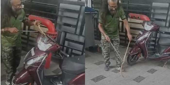 ഫ്ലാറ്റിനടിയിൽ നിർത്തിയിട്ടിരുന്ന സ്കൂട്ടർ സ്റ്റാർട്ട് ചെയ്യുന്നതിനിടെ ഹെഡ്ലൈറ്റിനുള്ളിൽ നിന്ന് എന്തോ ചീറ്റുന്ന ശബ്ദം, നോക്കിയപ്പോൾ മൂർഖൻ പാമ്പ്