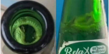 ജീരക സോഡയില്‍ ചത്ത പാമ്പിന്‍ കുഞ്ഞ്, നിർമ്മാണ യൂണിറ്റ് അടച്ചുപൂട്ടി, മുഴുവന്‍ സ്റ്റോക്കും നശിപ്പിച്ച് ഭക്ഷ്യ സുരക്ഷാ വകുപ്പ്, സോഡാ കുപ്പികള്‍ സൂക്ഷിച്ചിരുന്നത് അടച്ചുറപ്പില്ലാത്ത സ്ഥലത്ത്