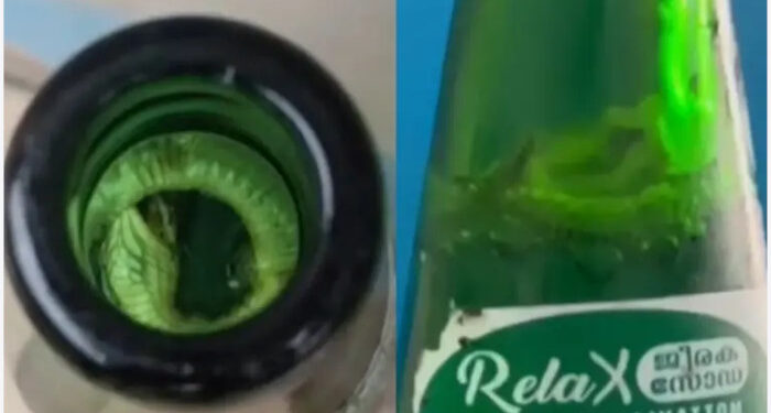 ജീരക സോഡയില്‍ ചത്ത പാമ്പിന്‍ കുഞ്ഞ്, നിർമ്മാണ യൂണിറ്റ് അടച്ചുപൂട്ടി, മുഴുവന്‍ സ്റ്റോക്കും നശിപ്പിച്ച് ഭക്ഷ്യ സുരക്ഷാ വകുപ്പ്, സോഡാ കുപ്പികള്‍ സൂക്ഷിച്ചിരുന്നത് അടച്ചുറപ്പില്ലാത്ത സ്ഥലത്ത്