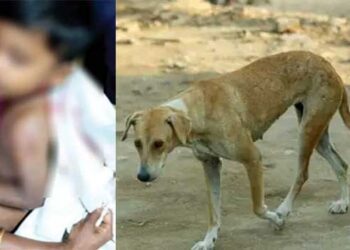 രാത്രിയിൽ അമ്മയ്ക്കൊപ്പം കിണറ്റുകരയിൽ നിന്ന് കുളിക്കുകയായിരുന്ന നാലുവയസുകാരനെ തെരുവുനായ കടിച്ചുകീറി, തലയിലും ദേഹത്തും പല്ലുകൾ ആഴ്ന്നിറങ്ങിയ മുറിവുകൾ, നായയുടെ പിടിയിൽ നിന്നും നിന്നും കുഞ്ഞിനെ മോചിപ്പിച്ചത് കരച്ചിൽ കേട്ട് ഓടിക്കൂടിയ പരിസരവാസികൾ, പിന്നാലെ നായ ചത്ത നിലയിൽ, മറ്റ് രണ്ട് പേർക്കുകൂടി നായയുടെ കടിയേറ്റു