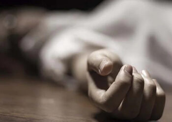 അയല്‍വാസി സിസിടിവി ക്യാമറ സ്ഥാപിച്ചത് ഇഷ്ടപ്പെട്ടില്ല, തങ്ങളുടെ ദൃശ്യങ്ങള്‍ പതിയുമെന്ന് വാദം, പിന്നാലെ ഇരുവീട്ടുകാരും തമ്മില്‍ കൂട്ടയടി, കോട്ടയത്ത് വീട്ടമ്മയ്ക്ക് ദാരുണാന്ത്യം