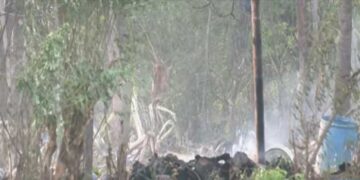 വാഹനത്തിൽ നിന്ന് ഇറങ്ങാൻ നിൽക്കുമ്പോഴാണ് സ്ഫോടനമുണ്ടായത്, വണ്ടി ശരിക്കും കുലുങ്ങുകയായിരുന്നു. ഒരു ഫോർച്ച്യുണർ വണ്ടി കുലുങ്ങുക എന്നുപറഞ്ഞാൽ എത്രമാത്രം ഭയാനകമാണെന്ന് അറിയാല്ലോ… ശരീരഭാഗങ്ങൾ പലയിടത്തായി ചിതറിക്കിടക്കുന്നതാണ് കണ്ടത്- പ്രദേശവാസികൾ