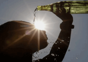 പെരും ചൂട്; മൂന്നാറിലെ സ്ഥിതി അപകടകരം; അൾട്രാവൈലറ്റ് വികിരണ സൂചിക എട്ടിൽ എത്തി; അതീവ ജാഗ്രത വേണമെന്ന് കലക്ടർ