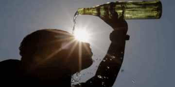 പെരും ചൂട്; മൂന്നാറിലെ സ്ഥിതി അപകടകരം; അൾട്രാവൈലറ്റ് വികിരണ സൂചിക എട്ടിൽ എത്തി; അതീവ ജാഗ്രത വേണമെന്ന് കലക്ടർ