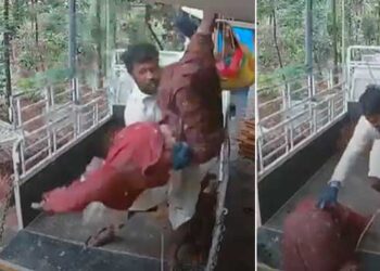 ആ’ ദൈവത്തിന്റെ കരങ്ങൾ’ താങ്ങിയില്ലായിരുന്നെങ്കിൽ… തലയിടിക്കുക വാഹനത്തിന്റെ ഫ്ലോറിൽ, അല്ലെങ്കിൽ ഗ്രില്ലിൽ!! ജോലിക്കിടെ രണ്ടാം നിലയിൽ നിന്നു വീണ നിർമാണത്തൊഴിലാളിയെ കൈകളിൽ താങ്ങി അയൽവാസി രഞ്ജിഷ്