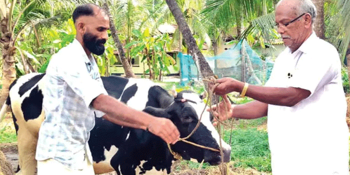 തിരഞ്ഞെടുപ്പ് ഫലത്തിന്റെ പേരിൽ ബെറ്റ്; തോറ്റതോടെ സിപിഎമ്മുകാരന്റെ വീട്ടിലെ 16 ലിറ്റർ കറവയുള്ള പശു ലീ​ഗുകാരന് സ്വന്തം! വാക്ക് പാലിച്ചു