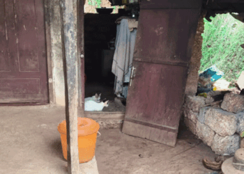 ‘നീ പോയി അവരോട് പറയെടാ… ഇവന്റെ കാര്യം ഞാൻ ഏറ്റൂ‘; മൂർഖൻ പാമ്പിൽ നിന്ന് ഒരു കുടുംബത്തെ രക്ഷിച്ച് വളർത്തുപൂച്ചകൾ; ഒരു പൂച്ച പാമ്പിനെ എങ്ങും വിടാതെ പിറകെ കൂടി, മറ്റൊന്ന്  അസ്വഭാവിക പെരുമാറ്റത്തിലൂട വീട്ടുകാരിയുടെ  ശ്രദ്ധ പാമ്പ് കിടക്കുന്നിടത്തേയ്ക്കെത്തിച്ചു!!