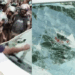ഇ.ഡി ഉദ്യോഗസ്ഥരെ ആക്രമിച്ച കേസ്: പ്രതികളുടെ ജാമ്യാപേക്ഷ തള്ളി; കേസ് ഗൗരവമുള്ളതെന്ന് കോടതി