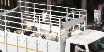 മുസ്ലിങ്ങളുടെ വീടിന് സമീപത്തേക്ക് പന്നിക്കൂട്ടങ്ങളെ അഴിച്ച്വിട്ട് ഹിന്ദുത്വ പ്രവര്ത്തകര്, ഹനുമാന് ചാലിസ ഉരുവിട്ട് ഒത്തുകൂടി വിശ്വ ഹിന്ദു പരിഷത്തും ബജ്റംഗ് ദള്ളും
