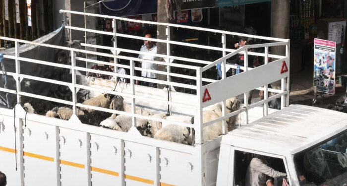 മുസ്ലിങ്ങളുടെ വീടിന് സമീപത്തേക്ക് പന്നിക്കൂട്ടങ്ങളെ അഴിച്ച്വിട്ട് ഹിന്ദുത്വ പ്രവര്ത്തകര്, ഹനുമാന് ചാലിസ ഉരുവിട്ട് ഒത്തുകൂടി വിശ്വ ഹിന്ദു പരിഷത്തും ബജ്റംഗ് ദള്ളും