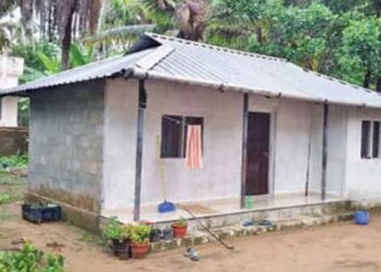 ഉറക്കത്തിൽ കഴുത്തിലൂടെ എന്തോ ഉഴഞ്ഞു പോകുന്നതുപോലെ, ഉടനെ ഒരുകൈകൊണ്ട് അതിനെ തട്ടിക്കളഞ്ഞു… നോക്കിയപ്പോൾ അണലി, തൃപ്രയാറിൽ 15 കാരി പാമ്പ് കടിയേൽക്കാതെ രക്ഷപ്പെട്ടു