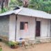 ഉറക്കത്തിൽ കഴുത്തിലൂടെ എന്തോ ഉഴഞ്ഞു പോകുന്നതുപോലെ, ഉടനെ ഒരുകൈകൊണ്ട് അതിനെ തട്ടിക്കളഞ്ഞു… നോക്കിയപ്പോൾ അണലി, തൃപ്രയാറിൽ 15 കാരി പാമ്പ് കടിയേൽക്കാതെ രക്ഷപ്പെട്ടു