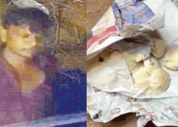 മോഷ്ടിക്കാനെത്തിയ വീടിന്റെ ടെറസിൽ കയറി; വിശപ്പ് സഹിക്കാനാവുന്നില്ല; കയ്യിൽ കരുതിയ ഇഡ്ഡലി പൊതി തുറന്ന് തീറ്റ ആരംഭിച്ചു! എല്ലാം മണത്തറിഞ്ഞ നായ താഴെ നിന്ന് നിർത്താതെ കുരച്ചു;  വീട്ടുകാർ ഉണർന്നതോടെ ഓടി; പായും വഴി സീലിങ്ങും തകർന്നു,  പ്ലാനും പൊളിഞ്ഞു