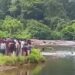 മുന്നറിയിപ്പ് ബോർഡ് അവ​ഗണിച്ചു, പലവൻപടി പുഴയിൽ കുളിക്കാനിറങ്ങിയ മൂന്ന് ദന്തൽ കോളേജ് വിദ്യാർഥികൾക്ക് ദാരുണാന്ത്യം!! ഇതേപുഴയിൽ മൂന്ന് നഴ്സിങ് കോളേജ് വിദ്യാർഥികൾ മുങ്ങിമരിച്ചത് രണ്ടാഴ്ച മുൻപ്