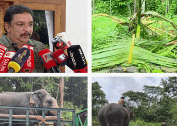 ‘കാട്ടാന ആക്രമണം തടയാൻ മന്ത്രിയുടെ കയ്യിൽ ഒറ്റമൂലിയൊന്നും ഇല്ല; ആരുടെ കയ്യിലും ഇല്ല;  തിങ്കളാഴ്ച ചാലക്കുടിയിൽ ഉന്നതതല  യോഗം ചേരും‘-മന്ത്രി ഷിബു ബേബി ജോണ്‍