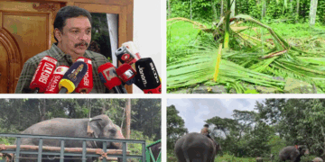 ‘കാട്ടാന ആക്രമണം തടയാൻ മന്ത്രിയുടെ കയ്യിൽ ഒറ്റമൂലിയൊന്നും ഇല്ല; ആരുടെ കയ്യിലും ഇല്ല;  തിങ്കളാഴ്ച ചാലക്കുടിയിൽ ഉന്നതതല  യോഗം ചേരും‘-മന്ത്രി ഷിബു ബേബി ജോണ്‍