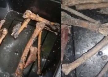 കിണറ്റിൽ ചാക്കിൽ കല്ലുകെട്ടി താഴ്ത്തിയ നിലയിൽ അസ്ഥികഷ്ണങ്ങളും അടിവസ്ത്രവും!! സംഭവം കണ്ടെത്തിയത് കിണറ്റിൽ വെള്ളം കുറവായതിനാൽ തൊട്ടിയിട്ട് കോരാൻ നോക്കിയപ്പോൾ-പോലീസ് അന്വേഷണം ആരംഭിച്ചു