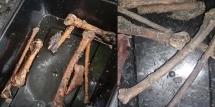 കിണറ്റിൽ ചാക്കിൽ കല്ലുകെട്ടി താഴ്ത്തിയ നിലയിൽ അസ്ഥികഷ്ണങ്ങളും അടിവസ്ത്രവും!! സംഭവം കണ്ടെത്തിയത് കിണറ്റിൽ വെള്ളം കുറവായതിനാൽ തൊട്ടിയിട്ട് കോരാൻ നോക്കിയപ്പോൾ-പോലീസ് അന്വേഷണം ആരംഭിച്ചു
