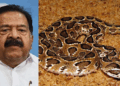 ‘നാക്കിൽ അണലി കൊത്തിയാൽ ലഹരി പോയിട്ട്‌ ആള്‌ പോലും ചിലപ്പോ ബാക്കിയുണ്ടാകില്ല; ആഭ്യന്തര മന്ത്രിയുടെ പ്രസ്താവന തെറ്റ്; ചെന്നിത്തല വളരെ ലാഘവത്തോടെ പറഞ്ഞ ഇക്കാര്യം പോപ്പുലർ ആകാനും അനുകരിക്കാനും ഇടയാകും‘- ഡോ ഷിംന അസീസ്