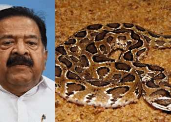 ‘നാക്കിൽ അണലി കൊത്തിയാൽ ലഹരി പോയിട്ട്‌ ആള്‌ പോലും ചിലപ്പോ ബാക്കിയുണ്ടാകില്ല; ആഭ്യന്തര മന്ത്രിയുടെ പ്രസ്താവന തെറ്റ്; ചെന്നിത്തല വളരെ ലാഘവത്തോടെ പറഞ്ഞ ഇക്കാര്യം പോപ്പുലർ ആകാനും അനുകരിക്കാനും ഇടയാകും‘- ഡോ ഷിംന അസീസ്