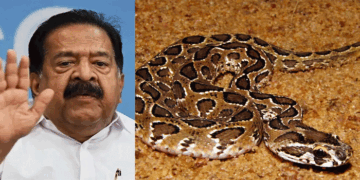 ‘നാക്കിൽ അണലി കൊത്തിയാൽ ലഹരി പോയിട്ട്‌ ആള്‌ പോലും ചിലപ്പോ ബാക്കിയുണ്ടാകില്ല; ആഭ്യന്തര മന്ത്രിയുടെ പ്രസ്താവന തെറ്റ്; ചെന്നിത്തല വളരെ ലാഘവത്തോടെ പറഞ്ഞ ഇക്കാര്യം പോപ്പുലർ ആകാനും അനുകരിക്കാനും ഇടയാകും‘- ഡോ ഷിംന അസീസ്