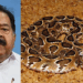 ‘നാക്കിൽ അണലി കൊത്തിയാൽ ലഹരി പോയിട്ട്‌ ആള്‌ പോലും ചിലപ്പോ ബാക്കിയുണ്ടാകില്ല; ആഭ്യന്തര മന്ത്രിയുടെ പ്രസ്താവന തെറ്റ്; ചെന്നിത്തല വളരെ ലാഘവത്തോടെ പറഞ്ഞ ഇക്കാര്യം പോപ്പുലർ ആകാനും അനുകരിക്കാനും ഇടയാകും‘- ഡോ ഷിംന അസീസ്