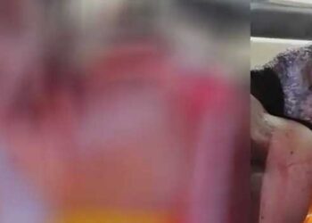 പണം ചോദിച്ചിട്ട് കൊടുത്തില്ല, ഉറങ്ങിക്കിടക്കുകയായിരുന്ന പിതാവിനെ വെട്ടിപ്പരുക്കേൽപ്പിച്ച് മക്കൾ, കുടുംബവുമായി അകന്നു കഴിയുന്ന പിതാവിനെ ആക്രമിച്ചത് രണ്ട് ആൺമക്കളും മകളും ചേർന്ന്, ഒളിവിൽ പോയ പ്രതികൾക്കായി അന്വേഷണം