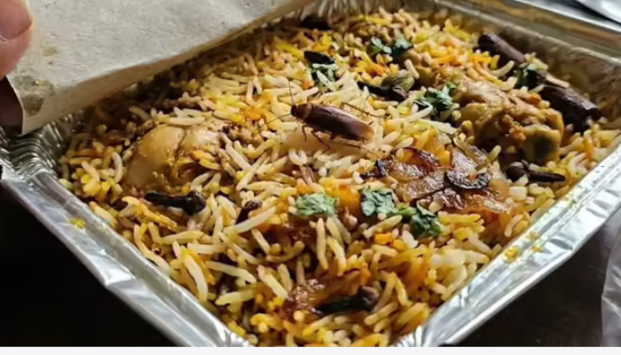 ബിരിയാണിയില് ചത്ത ഈച്ച, ഭക്ഷണം പാകം ചെയ്യുന്നത് വൃത്തിയില്ലാത്ത സ്ഥലത്ത്, റസ്റ്റോറന്റിന് 13000 പിഴ, പരാതിക്കാരന് 10 പ്ലേറ്റ് ബിരിയാണി സൗജന്യമായി നല്കാനും ഉത്തരവ്
