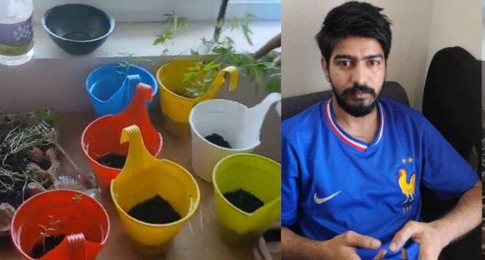 പകല്‍ ഐടി ജോലി, രാത്രി കഞ്ചാവ് കൃഷി, ചമ്മന്തി അരയ്ക്കാനും പാലിൽ ചേർത്ത് കുടിക്കാനുംവരെ കഞ്ചാവ്, ജൈവ വളം ഉപയോഗിച്ച് പരിപാലനം, ഫ്ലാറ്റില്‍ 70തിലധികം കഞ്ചാവ് ചെടി നട്ട് വളര്‍ത്തിയ ടെക്നോപാർക്ക് ഐടി മാനേജർ പിടിയില്‍