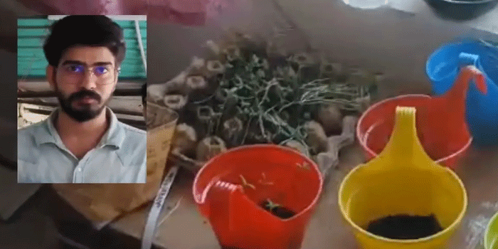 ‘ചട്നിയുണ്ടാക്കാനാ സർ‘: ഐ.ടി  മാനേജരുടെ ഫ്ളാറ്റിൽ കഞ്ചാവ് നഴ്സറി; ; ചെടികളുടെ പ്രായമടക്കം  പോലീസിന് വിവരിച്ചു നല്കി; എല്ലാം ഉപയോ​​ഗിക്കാൻ വാങ്ങിയതിനകത്തുള്ള വിത്തുകൾ നട്ടു വളർത്തിയത്; കണ്ടെടുത്തത് 70 ചെടികൾ
