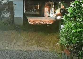 മുള്ളൻ പന്നി കുറുകെ ചാടി, ഓട്ടോ മറിഞ്ഞു; ഡ്രൈവർക്ക് ദാരുണാന്ത്യം; ഭാര്യയ്ക്ക് പരിക്ക്; മക്കൾ അത്ഭുതകരമായി രക്ഷപ്പെട്ടു