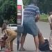 ലഹരി തലയ്ക്ക് പിടിച്ച് വീട്ടിനുള്ളിൽ ഭീകരാന്തരീക്ഷം സൃഷ്ടിച്ച് യുവാവ്!! ഉമ്മയേയും ഇളയ സഹോ​ദരിയേയും ഇറക്കിവിട്ട്, വീട്ടിനുള്ളിൽ സൂക്ഷിച്ച രണ്ട് ​ഗ്യാസ് സിലിണ്ടറുകൾ തുറന്നുവിട്ടു, പോലീസും ഫയർഫോഴ്സും ബലപ്രയോ​ഗത്തിലൂടെ സ്റ്റേഷനിലേക്ക് കൊണ്ടുപോകുന്നതിനിടെ ജീപ്പിൽ നിന്ന് ചാ‌ടി