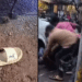 ഭാര്യയുമായി മാനേജർക്ക് പ്രണയം; സ്വകാര്യ പണമിടപാട് സ്ഥാപനത്തിലെ ഉദ്യോഗസ്ഥനെ തട്ടിക്കൊണ്ടുപോയത് ഭർത്താവും സഹോദരനും; പ്രതികൾ പിടിയിൽ
