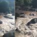 ഇരുവഞ്ഞിപ്പുഴയിലെ പതങ്കയത്ത് വിനോദ സഞ്ചാരികൾ പുഴയിലിറങ്ങി കുളിക്കുന്നതിനിടെ അപ്രതീക്ഷിത മലവെള്ളപ്പാച്ചിൽ, വിനോദസഞ്ചാരികളും ഗൈഡും ഒഴുക്കിൽപ്പെട്ടു, കാണാതായ വയനാട് സ്വദേശിയായ ​ഗൈഡിനായി തെരച്ചിൽ