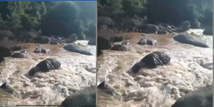 ഇരുവഞ്ഞിപ്പുഴയിലെ പതങ്കയത്ത് വിനോദ സഞ്ചാരികൾ പുഴയിലിറങ്ങി കുളിക്കുന്നതിനിടെ അപ്രതീക്ഷിത മലവെള്ളപ്പാച്ചിൽ, വിനോദസഞ്ചാരികളും ഗൈഡും ഒഴുക്കിൽപ്പെട്ടു, കാണാതായ വയനാട് സ്വദേശിയായ ​ഗൈഡിനായി തെരച്ചിൽ