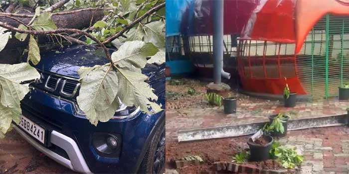 വിദ്യാർഥികൾ സ്കൂളുകളിലേക്ക് എത്തുന്ന സമയത്ത് തൃശൂരിൽ മിന്നൽ ചുഴലി, സ്കൂൾ പാർക്കിങ്ങിൽ നാല് തേക്കുമരങ്ങൾ കടപുഴകിവീണു, എൽകെജി സ്കൂളിന്റെ മേൽക്കൂര പൂർണമായും ഇളകി മാറി, കുട്ടികൾ രക്ഷപ്പെട്ടത് തലനാരിഴയ്ക്ക്, മൂന്ന് ഓട്ടോറിക്ഷകളും ഒരു കാറും തകർന്നു